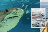 Tragická smrt v Egyptě! Turistku (†68) zabil žralok, útok jen kousek od pláže natočili turisté