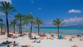 Pláž Playa de Palma, kde byl spatřen žralok modrý