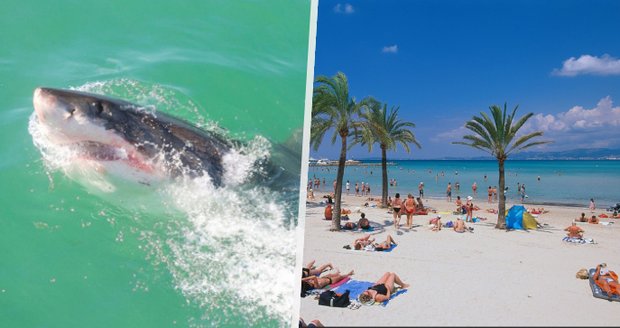 Pobřežní hlídka zachránila turisty na pláži ve Španělsku: Vyhnala je z vody kvůli žralokovi! 