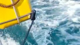 Turisté v Jižní Africe zažili děsivý moment, do jejich člunu se zakousl žralok.