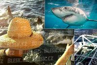 Českou turistku Malvínu (38) ohrožoval čtyřmetrový žralok: Hryzal do lodi!
