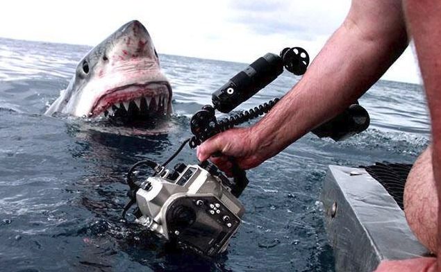 Fotograf zachytil blízké setkání s lidožravým žralokem bílý. Od jeho ruky se nacházel jen několik centimetrů