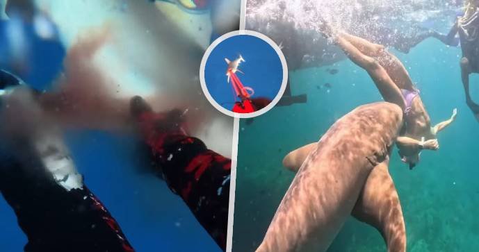 Napadení influencerů žraloky přibývá, často na videu