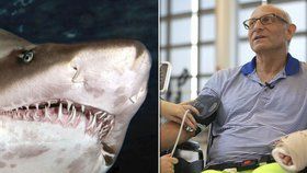 Muž promluvil, jak mu sledování přírodovědných dokumentů zachránilo život při útoku žralokem.