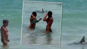 Mladík převlečený za žraloka děsil lidi v moři!