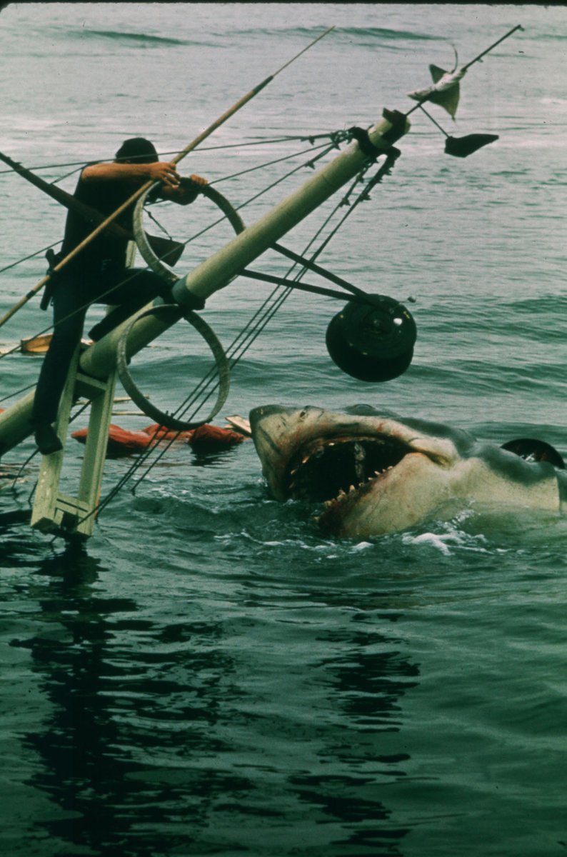 Slavná scéna z filmu Čelisti (1975). Také jste si mysleli, že si žralok pro svou oběť vyskočit nad hladinu nemůže?