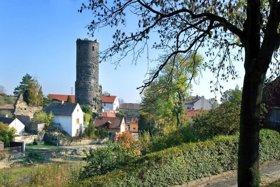 Zřícenina gotického hradu Jenštejn.