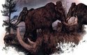 Kniha Ztracen v zemi mamutů navazuje na Lovce mamutů