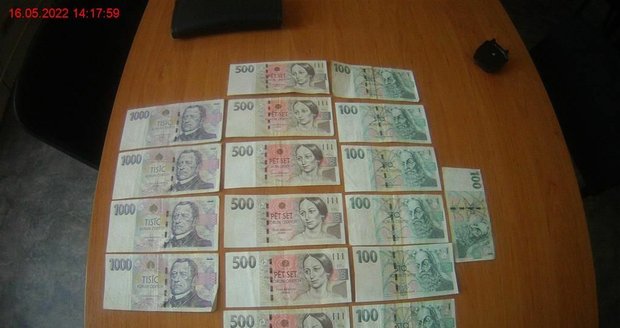 Strážníci ve ztracené peněžence napočítali přesně 54 696 korun.