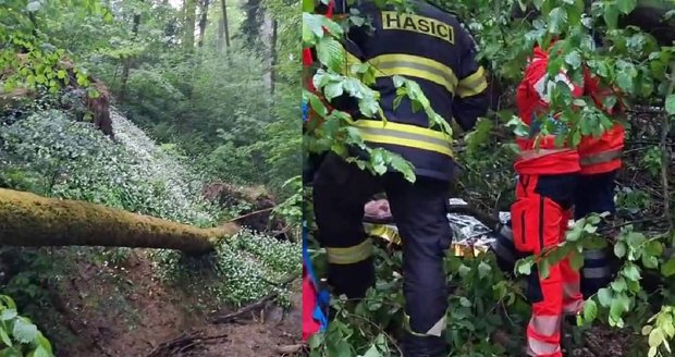 Seniora (83) uvízlého dva dny v lese na kraji Brna našel pejskař.