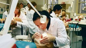 Budoucí zubaři v plném zaujetí nad »umělými pacienty«