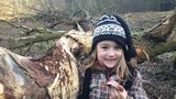 V Plzni neokusují stromy bobři, ale lidi: Hanička našla zubní protézu, hledá se majitel