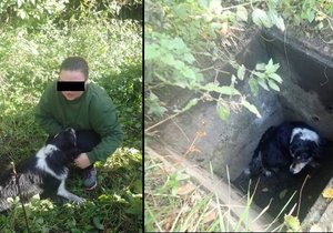 Majitelka ze Zubří na Vsetínsku několik dní hledala svého psa. Hasiči ho vysvobodili z betonové šachty.
