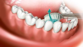 Jak si správně čistit zuby?