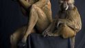 Série lidsko-zvířecích fotografií americké umělkyně Lennette Newell