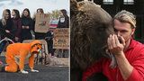 Boj o zvířata v manéži: Ochránci volají po zákazu, cirkusáci mluví o bludech