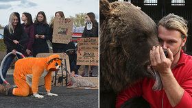 Ať jsou cirkusy bez zvířat, chtějí ochránci. Cirkusy se brání: mají se u nás skvěle