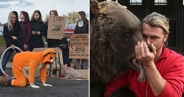 Boj o zvířata v manéži: Ochránci volají po zákazu, cirkusáci mluví o bludech