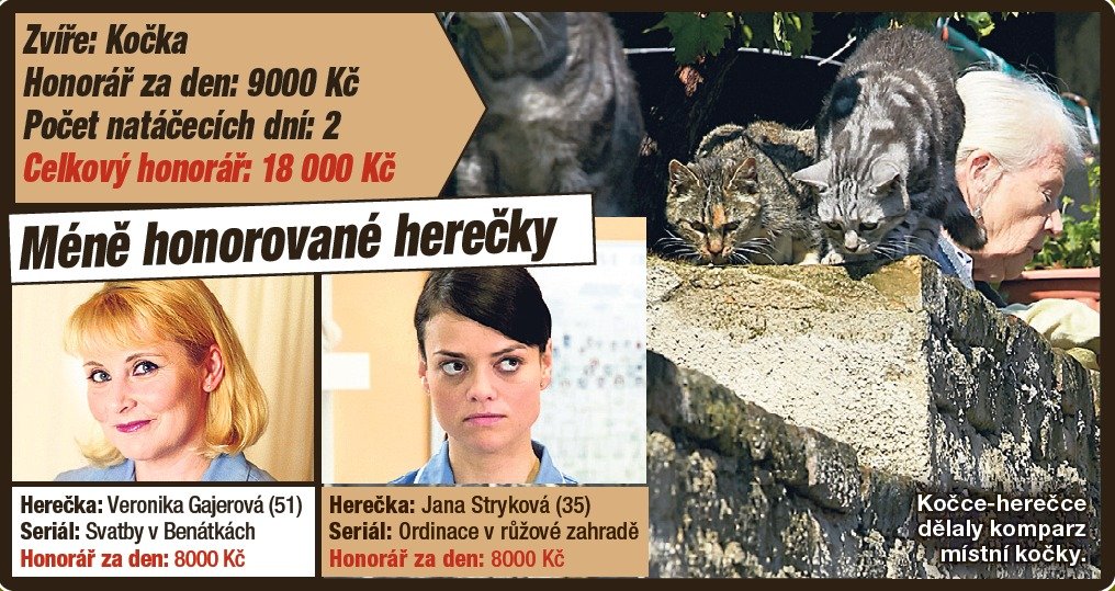 Srovnání platů zvířecích hrdinů a jejich dvounohých hereckých protějšků.