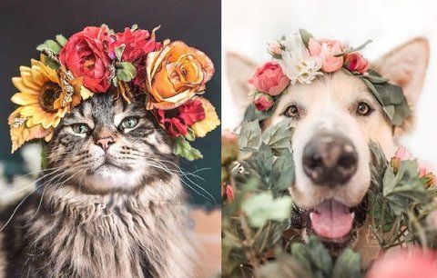 Pes a kocour prodávají květinové věnce na zakázku! Tyhle dekorace jsou hitem Instagramu