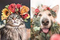 Pes a kocour prodávají květinové věnce na zakázku! Tyhle dekorace jsou hitem Instagramu