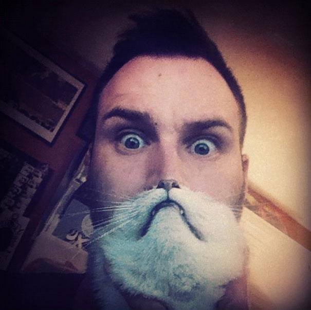 Cat-bearding v akci