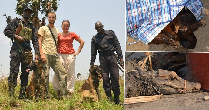 Kynoložka Hanka odcestovala se svou fenkou Camou do Konga, aby se zapojila v boji proti pašerákům zvířat.