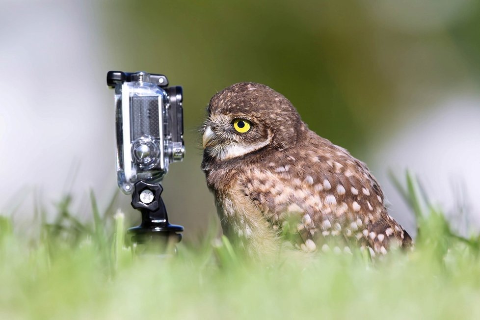 Selfie mister