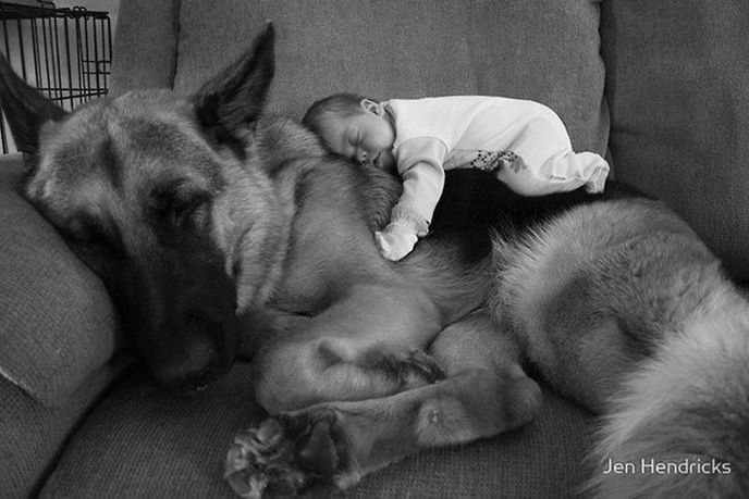 Spánek ve společnosti psů dětem prospívá.