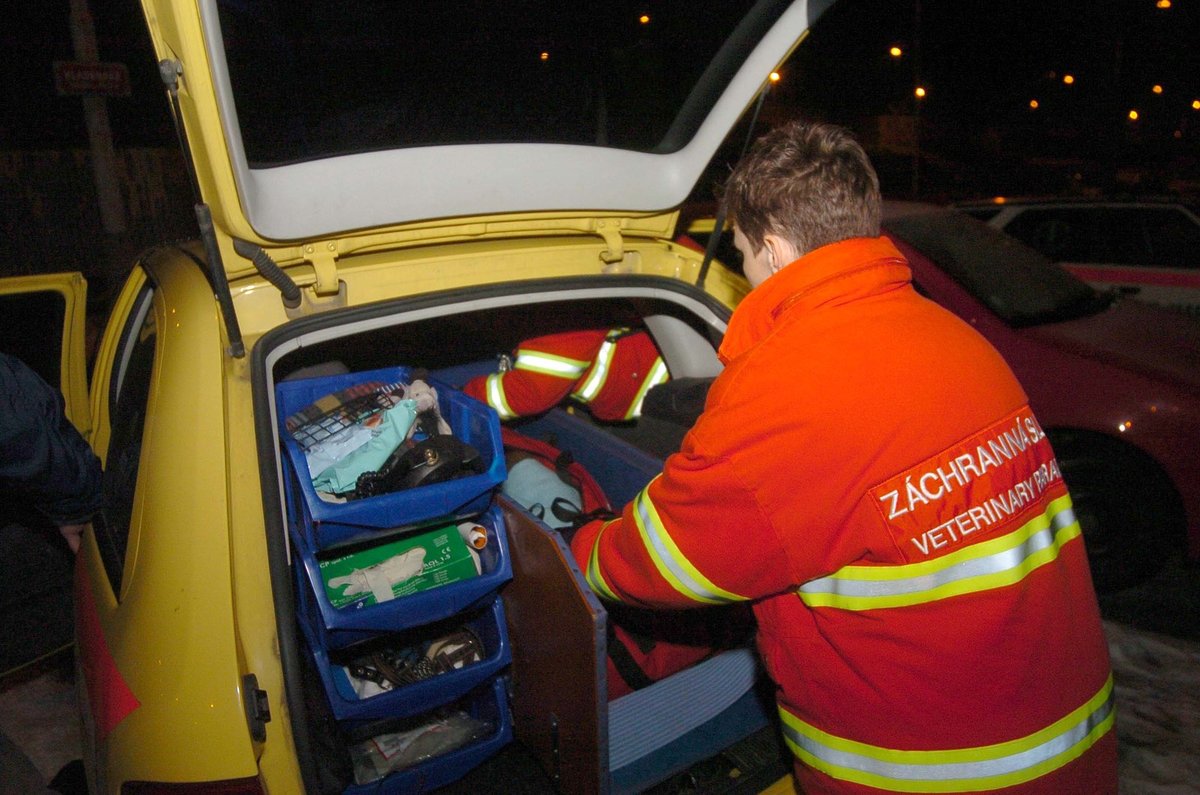 Záchranné stanice a útulky bijí na poplach: Zvířatům hrozí smrt!