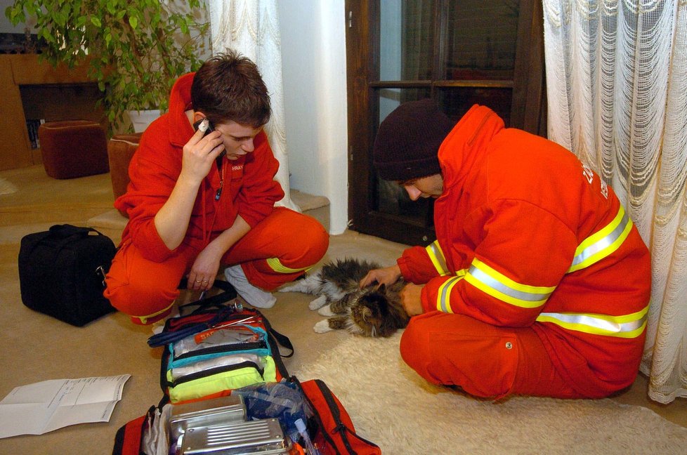 Zvířecí záchranka Pet Medic v akci