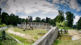 Výběhy zvířat jsou většinou zabezpečeny před vniknutím návštěvníků například ploty, skly nebo vodními bariérami.