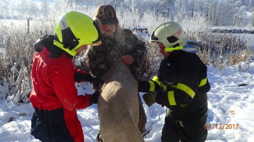 Zraněné labutí mládě zůstalo samo na zamrzlé hladině rybníka. Hasiči jej předali do záchranné stanice.