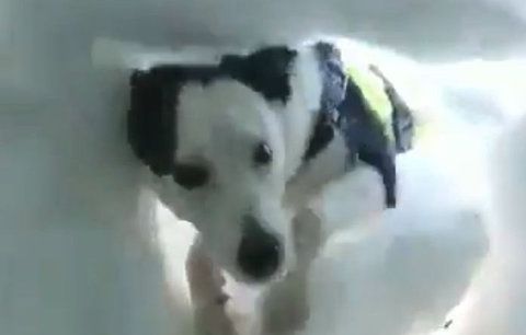 Unikátní záběry záchranáře: Takhle to vypadá, když vás pod sněhem hledá pes!