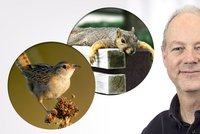Záhada: Veverky, ptáci i stonožky si rozumí všude na světě. Kromě Nového Zélandu