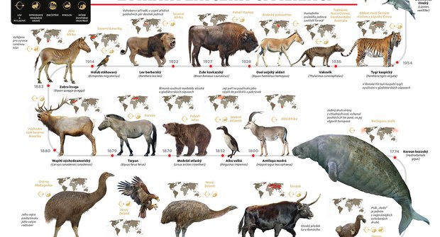 Zvířata zničená civilizací: Vakovlk, zubr, tygr a další