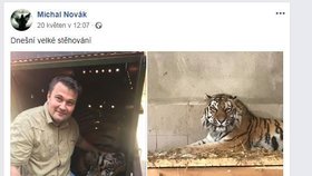 Facebookový post Michala Nováka k převozu tygřice