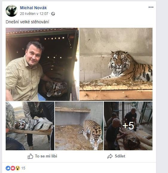 Facebookový post Michala Nováka k převozu tygřice. Jedná se o problémového chovatele, který chtěl mít soukromou minizoo