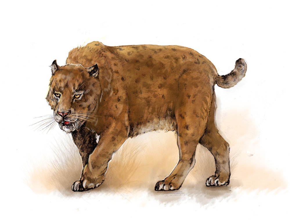 Dýkozubec Homotherium moravicum