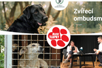 Zvířecí Ombudsman bude hájit práva zvířat. Pomoc nabízí veřejnosti a zvířecím záchranářům.