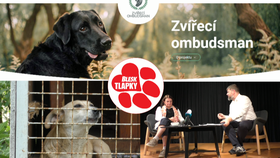 Zvířecí ombudsman bude hájit práva zvířat. Pomoc nabízí veřejnosti a zvířecím záchranářům