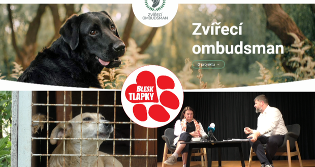 Zvířecí ombudsman bude hájit práva zvířat. Pomoc nabízí veřejnosti a zvířecím záchranářům