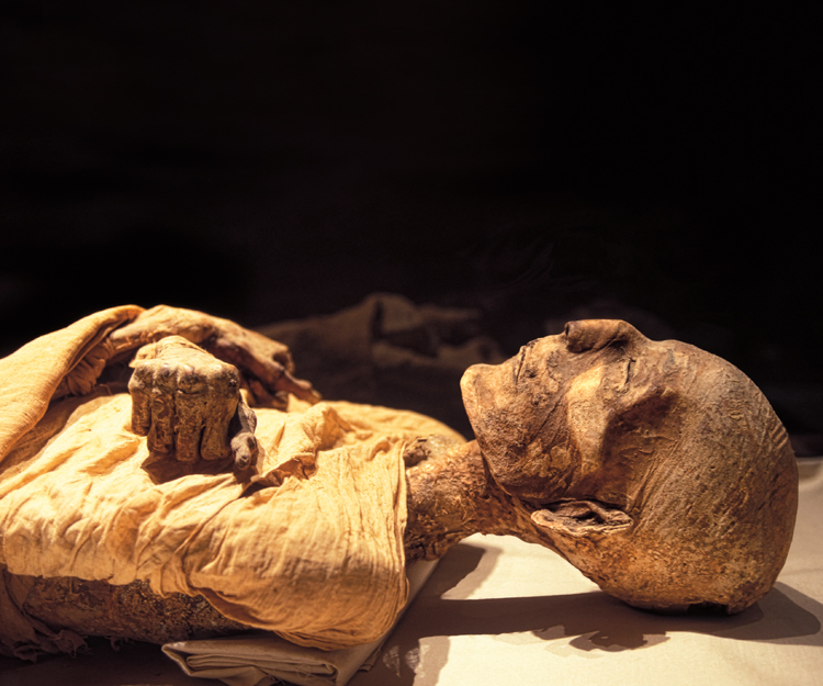 GALERIE: 3500 let starý papyrus odhalil nová tajemství egyptských mumií |  FOTO 1 | Ábíčko.cz