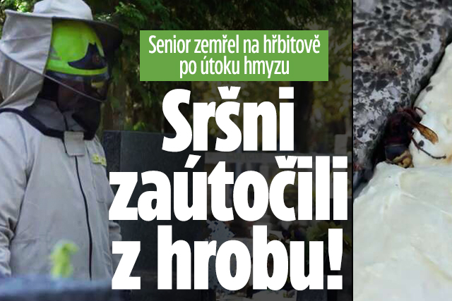 Banner ke žhavému tématu: Senior zemřel na hřbitově: Sršni ...