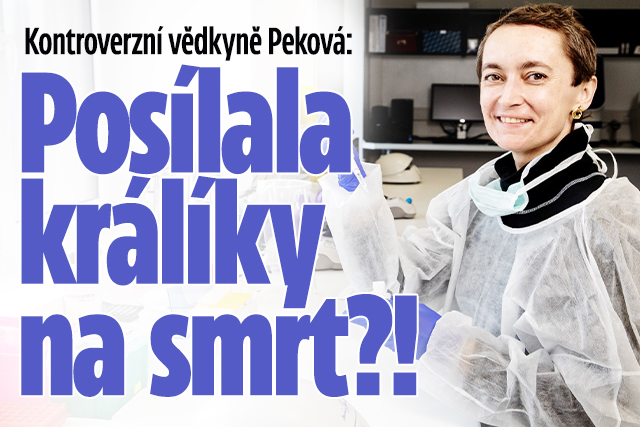 Banner ke žhavému tématu: Vědkyně Peková má problém? Posílala ...