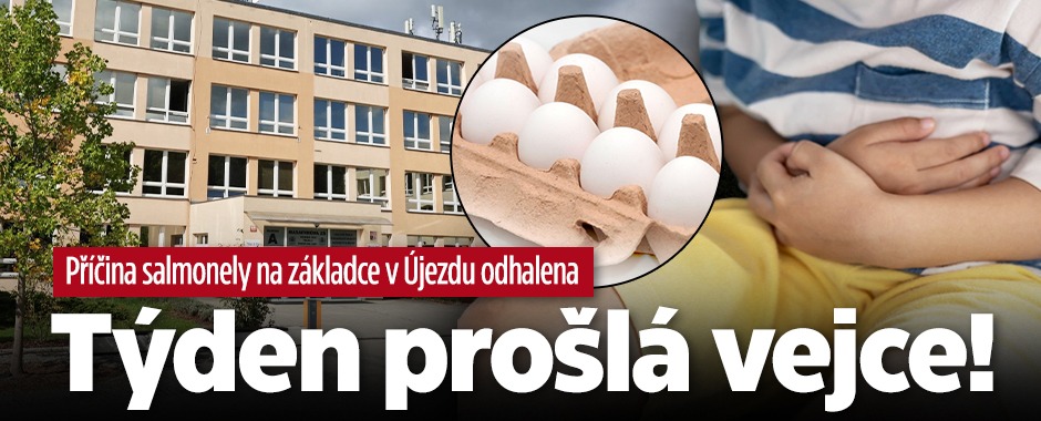 Banner ke žhavému tématu: Příčina otravy v Újezdu nad Lesy: Týden ...