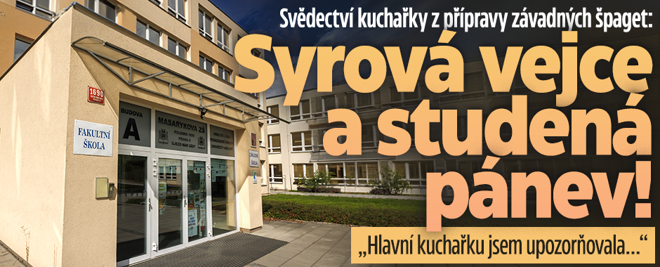 Banner ke žhavému tématu: Svědectví kuchařky z přípravy závadných ...