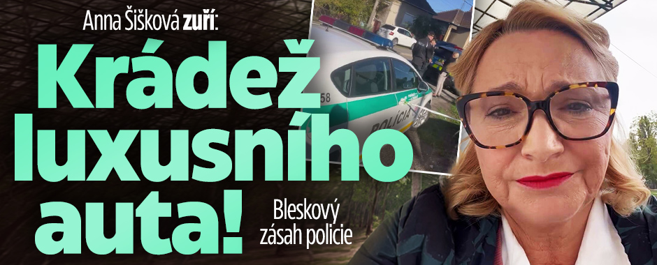 Banner ke žhavému tématu: Anně Šiškové ukradli luxusního ...