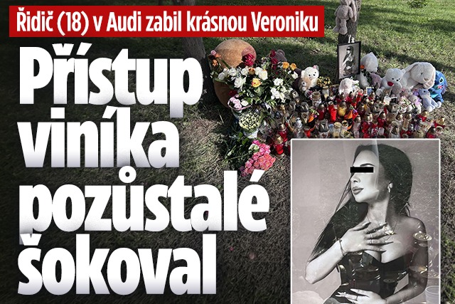 Banner ke žhavému tématu: Řidič (18) v Audi zabil krásnou ...