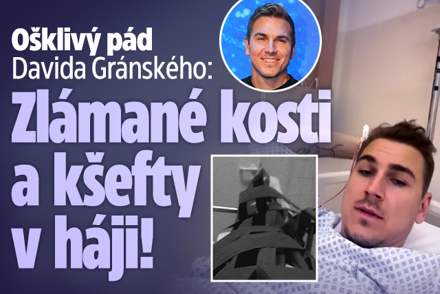Banner ke žhavému tématu: Ošklivý pád Davida Gránského: Zlámané ...